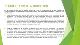 SEGÚN EL TIPO DE MADURACION
En la maduración de la fruta puede producirse o no un incremento de la tasa respiratoria,
acompañado de un incremento en la síntesis de etileno, que se denomina climaterio y que sirve para
clasificarlas)
 Frutas climatéricas: son aquellas que muestran un incremento más o menos marcado en la tasa
respiratoria y en la síntesis de etileno. Entre las frutas climatéricas se cuentan: lamanzana, la pera,
el plátano o banana, el melocotón, el albaricoque, el kiwi,la chirimoya y lafresa, entre otras.
 Estas frutas suelen almacenar almidón (Leucoplastos) como hidrato de carbono de reserva durante su
crecimiento. El almidón puede hidrolizarse durante la maduración dando lugar a azúcares simples que
otorgan sabor a la fruta. Este proceso sucede aunque la fruta sea separada de la planta
inmediatamente antes de madurar (estado preclimatérico).
 Frutas no climatéricas: No presentan variaciones sustanciales en la tasa respiratoria o en la síntesis
de etileno durante la maduración. Además, el etileno no coordina los cambios organolépticos
principales (sabor, aroma, textura) durante la maduración. Entre las frutas no climatéricas se
encuentran: las cerezas en general, la naranja, el limón, la mandarina, la piña,y la uva,entre otras.
 Estos frutos no almacenan almidón antes de la maduración, razón por la cual no deben ser separados
de la planta antes de alcanzar la madurez organoléptica. La recolección se debe realizar después de
alcanzada la madurez, pues no mejoran su sabor y aroma luego de separadas de la planta.
 