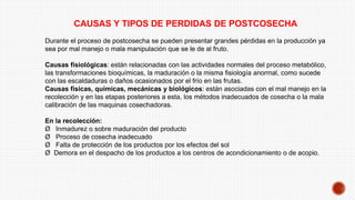 CAUSAS Y TIPOS DE PERDIDAS DE POSTCOSECHA
Durante el proceso de postcosecha se pueden presentar grandes pérdidas en la producción ya
sea por mal manejo o mala manipulación que se le de al fruto.
Causas fisiológicas: están relacionadas con las actividades normales del proceso metabólico,
las transformaciones bioquímicas, la maduración o la misma fisiología anormal, como sucede
con las escaldaduras o daños ocasionados por el frío en las frutas.
Causas físicas, químicas, mecánicas y biológicos: están asociadas con el mal manejo en la
recolección y en las etapas posteriores a esta, los métodos inadecuados de cosecha o la mala
calibración de las maquinas cosechadoras.
En la recolección:
Ø Inmadurez o sobre maduración del producto
Ø Proceso de cosecha inadecuado
Ø Falta de protección de los productos por los efectos del sol
Ø Demora en el despacho de los productos a los centros de acondicionamiento o de acopio.
 