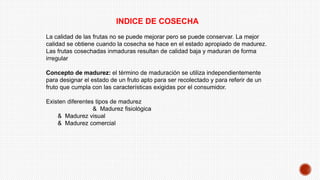 INDICE DE COSECHA
La calidad de las frutas no se puede mejorar pero se puede conservar. La mejor
calidad se obtiene cuando la cosecha se hace en el estado apropiado de madurez.
Las frutas cosechadas inmaduras resultan de calidad baja y maduran de forma
irregular
Concepto de madurez: el término de maduración se utiliza independientemente
para designar el estado de un fruto apto para ser recolectado y para referir de un
fruto que cumpla con las características exigidas por el consumidor.
Existen diferentes tipos de madurez
& Madurez fisiológica
& Madurez visual
& Madurez comercial
 