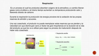 Respiración
Es un proceso el cual los productos absorben oxigeno de la atmosfera y a cambio liberan
gases como el etileno y al mismo tiempo aumentan su temperatura produciendo calor y
liberando dióxido de carbono
Durante la respiración la producción de energía proviene de la oxidación de las propias
reservas de almidón y azucares.
Una vez cosechado, el producto no puede reemplazar estas reservas que se pierden y la
velocidad con que disminuyen será un factor de gran Importancia en la duración de la vida
del producto ya que los va a utilizar para seguir su proceso de maduración después de
haber sido cosechado
 