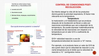 CONTROL DE CONDICIONES POST-
RECOLECCIÓN:
Se intenta alargar la vida útil de los productos
disminuyendo la actividad respiratoria. El factor más
relevante es la temperatura.
Temperatura:
la maduración y el metabolismo que se produce
después de la recolección se llevan a cabo por
reacciones enzimáticas que van a depender de la
temperatura. Se puede expresar matemáticamente
la velocidad de las reacciones con respecto a la
temperatura por el valor Q10 o coeficiente de
temperatura.
Q10= velocidad reacción a una de
temperatura/velocidad de reacción a 10° menos.
Por ejemplo, si el producto tiene un valor de Q10 de
dos quiere decir que la velocidad de reacción a una
cierta temperatura es el doble que la velocidad de
reacción a 10 ° centígrados menos.
 