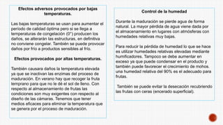 Efectos adversos provocados por bajas
temperaturas.
Las bajas temperaturas se usan para aumentar el
período de calidad óptima pero si se llega a
temperaturas de congelación (0°) producen los
daños, se alterarán las estructuras, en definitiva
no conviene congelar. También se puede provocar
daños por frío a productos sensibles al frío.
Efectos provocados por altas temperaturas.
También causara daños la temperatura elevada
ya que se inactivan las enzimas del proceso de
maduración. En verano hay que recoger la fruta
temprano para que no le dé el sol de lleno. Con
respecto al almacenamiento de frutas las
condiciones son muy exigentes con respecto al
diseño de las cámaras. Tenemos que tener
medios eficaces para eliminar la temperatura que
se genera por el proceso de maduración.
Control de la humedad
Durante la maduración se pierde agua de forma
natural. La mayor pérdida de agua viene dada por
el almacenamiento en lugares con atmósferas con
humedades relativas muy bajas.
Para reducir la pérdida de humedad lo que se hace
es utilizar humedades relativas elevadas mediante
humificadores. Tampoco se debe aumentar en
exceso ya que puede condensar en el producto y
también puede favorecer el crecimiento de mohos.
una humedad relativa del 90% es el adecuado para
frutas.
También se puede evitar la desecación recubriendo
las frutas con ceras (encerado superficial).
 