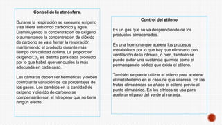 Control de la atmósfera.
Durante la respiración se consume oxígeno
y se libera anhídrido carbónico y agua.
Disminuyendo la concentración de oxígeno
o aumentando la concentración de dióxido
de carbono se va a frenar la respiración
manteniendo el producto durante más
tiempo con calidad óptima. La proporción
oxígeno/𝐶02 es distinta para cada producto
por lo que habrá que ver cuales la más
adecuada en cada caso.
Las cámaras deben ser herméticas y deben
controlar la variación de los porcentajes de
los gases. Los cambios en la cantidad de
oxígeno y dióxido de carbono se
compensarán con el nitrógeno que no tiene
ningún efecto.
Control del etileno
Es un gas que se va desprendiendo de los
productos almacenados.
Es una hormona que acelera los procesos
metabólicos por lo que hay que eliminarlo con
ventilación de la cámara, o bien, también se
puede evitar una sustancia química como el
permanganato sódico que oxida el etileno.
También se puede utilizar el etileno para acelerar
el metabolismo en el caso de que interese. En las
frutas climatéricas se añade el etileno previo al
punto climatérico. En los cítricos se usa para
acelerar el paso del verde al naranja.
 
