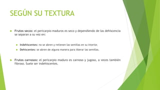 SEGÚN SU TEXTURA
 Frutos secos: el pericarpio maduros es seco y dependiendo de las dehiscencia
se separan a su vez en:
 Indehiscentes: no se abren y retienen las semillas en su interior.
 Dehiscentes: se abren de alguna manera para liberar las semillas.
 Frutos carnosos: el pericarpio maduro es carnoso y jugoso, a veces también
fibroso. Suele ser indehiscentes.
 