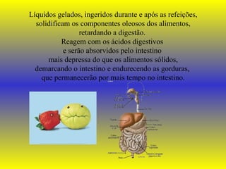 Líquidos gelados, ingeridos durante e após as refeições, solidificam os componentes oleosos dos alimentos, retardando a digestão.  Reagem com os ácidos digestivos  e serão absorvidos pelo intestino  mais depressa do que os alimentos sólidos, demarcando o intestino e endurecendo as gorduras,  que permanecerão por mais tempo no intestino. 