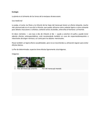 Ecología 
La planta es el alimento de las larvas de la mariposa Acraea acara. 
Uso medicinal 
La pulpa, el zumo, las flores y la infusión de las hojas del maracuyá tienen un efecto relajante, mucho 
más pronunciado en el caso de la infusión, que puede utilizarse como sedante ligero o como calmante 
para dolores musculares o cefaleas; contiene varios alcaloides, entre ellos el harmano y el harmol. 
En dosis normales — una taza o dos de infusión al día — ayuda a conciliar el sueño y puede tener 
además efectos antiespasmódicos; está recomendada también en caso de espasmosbronquiales o 
intestinales de origen nervioso, así como para los dolores menstruales. 
Posee también un ligero efecto vasodilatador, pero no se recomienda su utilización regular para evitar 
efectos tóxicos. 
La flor de determinadas especies tiene efectos ligeramente alucinógenos. 
Imágenes 
 
 Flor del maracuyá amarillo Flor del maracuyá morado 
 