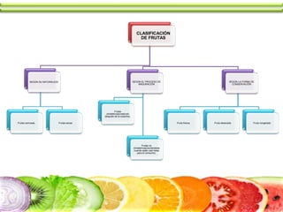 CLASIFICACIÓN
DE FRUTAS
SEGÚN SU NATURALEZA
Frutas carnosas. Frutas secas.
SEGÚN EL PROCESO DE
MADURACIÓN
Frutas
climatéricas(maduran
después de la cosecha).
Frutas no
climatéricas(recolectarse
cuando estén casi listas
para el consumo).
SEGÚN LA FORMA DE
CONSERVACIÓN
Fruta fresca. Fruta desecada. Fruta congelada.
 