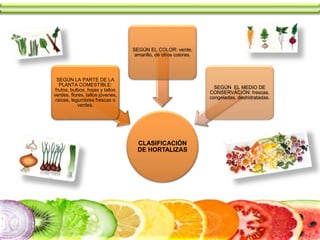 CLASIFICACIÓN
DE HORTALIZAS
SEGÚN LA PARTE DE LA
PLANTA COMESTIBLE:
frutos, bulbos, hojas y tallos
verdes, flores, tallos jóvenes,
raíces, legumbres frescas o
verdes.
SEGÚN EL COLOR: verde,
amarillo, de otros colores.
SEGÚN EL MEDIO DE
CONSERVACIÓN: frescas,
congeladas, deshidratadas.
 