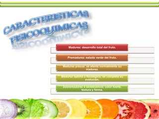 Madurez: desarrollo total del fruto.
Premadurez: estado verde del fruto.
Madurez precoz: se afecta normalmente su
madurez.
Madurez óptima o fisiológica: se completa su
evolución.
Sobremadurez o senescencia: color fuerte,
textura y forma.
 