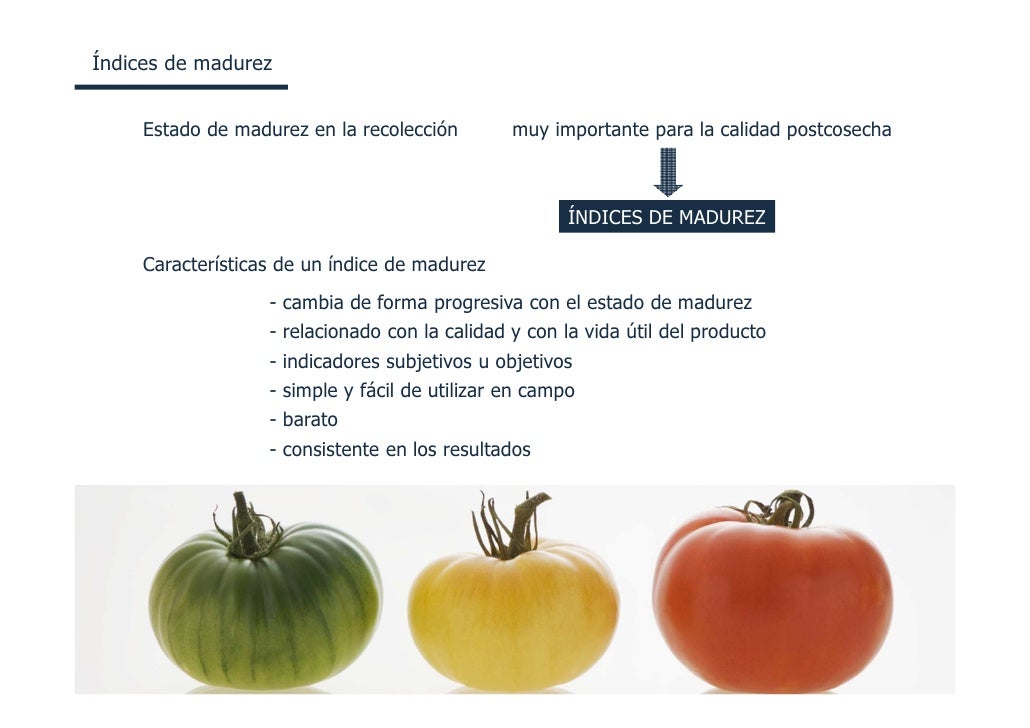 Frutas y hortalizas