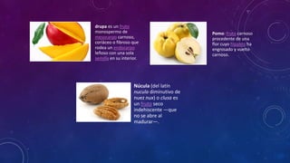 drupa es un fruto
monospermo de
mesocarpo carnoso,
coriáceo o fibroso que
rodea un endocarpo
leñoso con una sola
semilla en su interior.
Pomo: fruto carnoso
procedente de una
flor cuyo hipanto ha
engrosado y vuelto
carnoso.
Núcula (del latín
nucula diminutivo de
nuez nux) o clusa es
un fruto seco
indehiscente —que
no se abre al
madurar—.
 