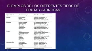 EJEMPLOS DE LOS DIFERENTES TIPOS DE
FRUTAS CARNOSAS
 