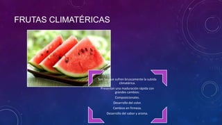FRUTAS CLIMATÉRICAS
Son las que sufren bruscamente la subida
climatérica.
Presentan una maduración rápida con
grandes cambios:
Composicionales.
Desarrollo del color.
Cambios en firmeza.
Desarrollo del sabor y aroma.
 