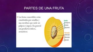PARTES DE UNA FRUTA
 