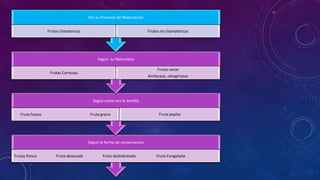Frutas grano
Segun la forma de conservacion
Frutas fresca Fruta desecada Fruta deshidratada Fruta Congelada
Según como sea la Semilla
Fruta hueso Fruta grano Fruta pepita
Segun su Naturaleza
Frutas Carnosas
Frutas secas
Amilaceas, oleaginosas
Por su Processo de Maduración
Frutas climatericas Frutas no cliamatericas
 
