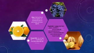 Hesperidio: es un tipo
de baya modificada, a
menudo obtenido de
cítricos.
Pepónide: o pepo (del latín
pepo, "sandía" [Citrullus
lanatus]) es un tipo de baya
que procede de un ovario
ínfero, y caracterizado por
una cutícula dura e
impermeable
Baya: deriva de un
ovario súpero, se
caracteriza por el
pericarpio carnoso-
jugoso
 