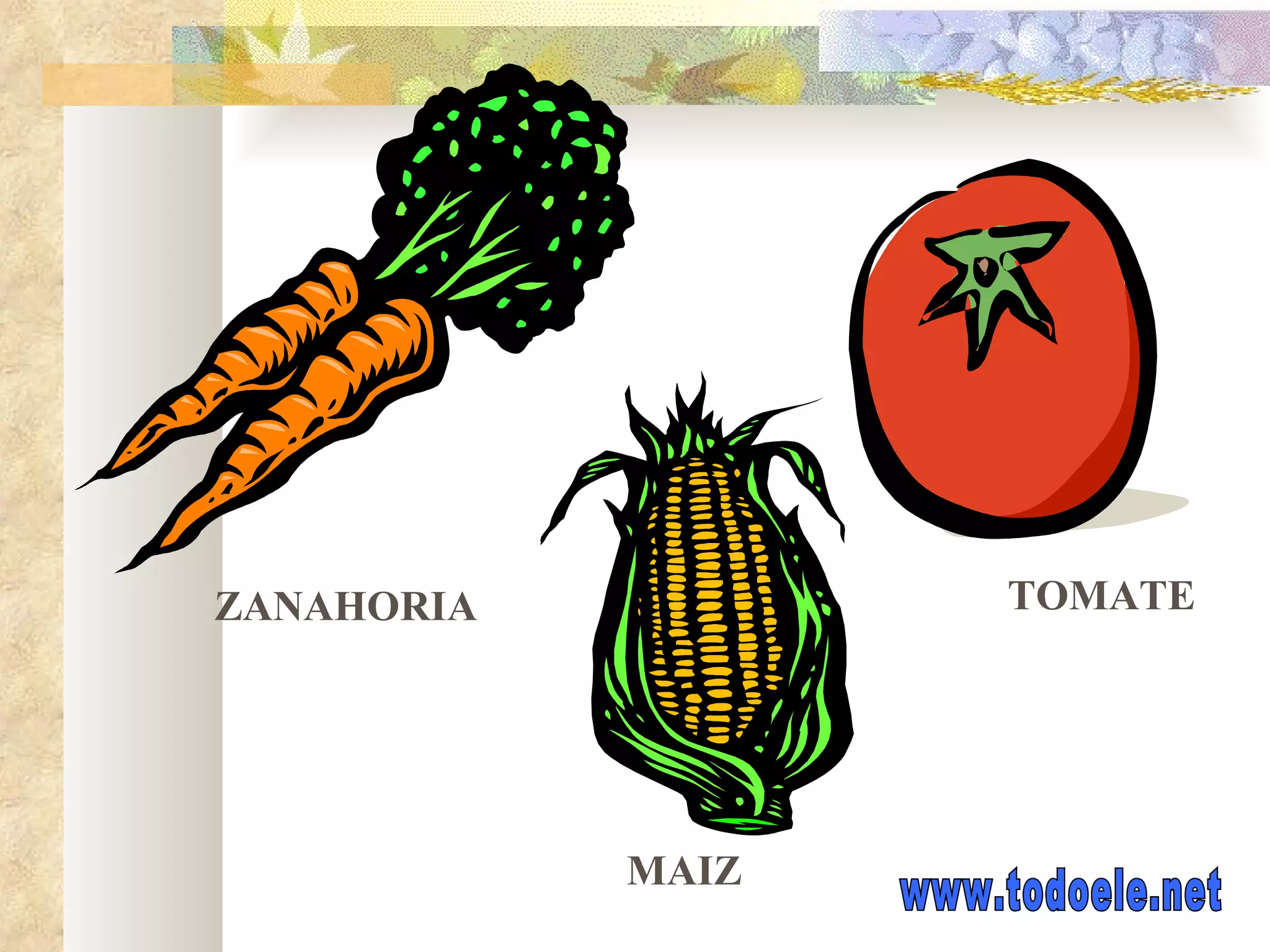 ZANAHORIA MAIZ TOMATE