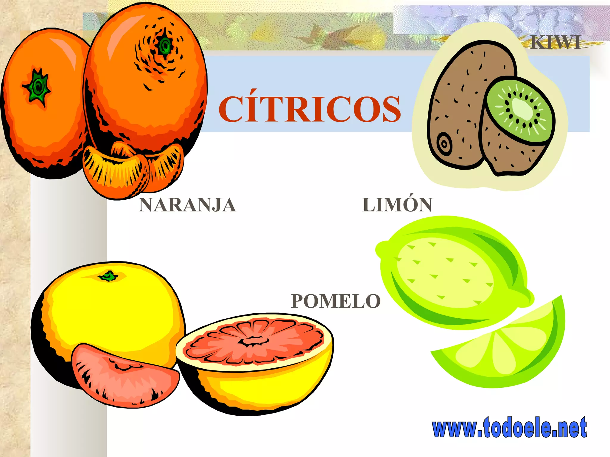 CÍTRICOS NARANJA KIWI POMELO LIMÓN