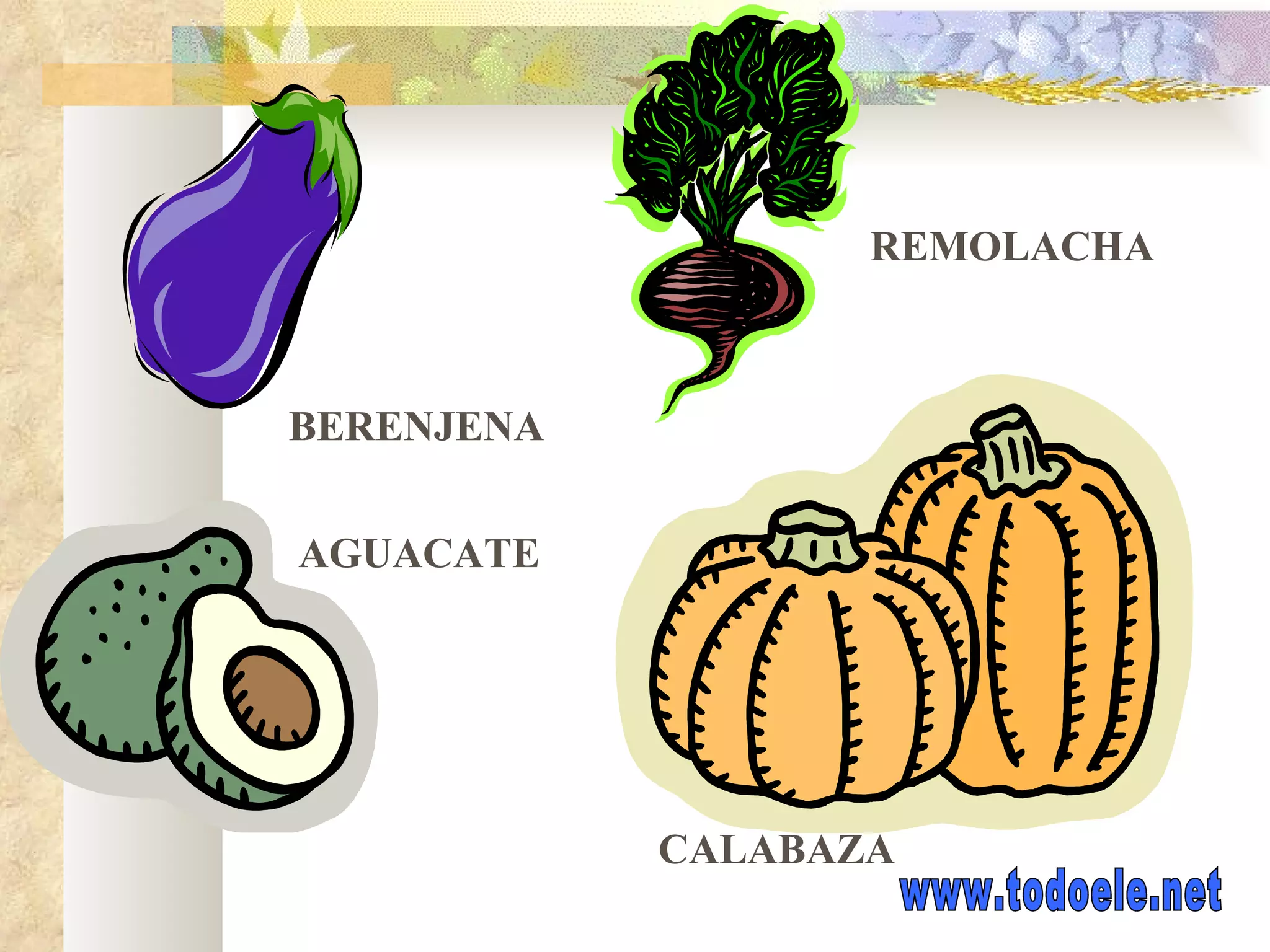 REMOLACHA BERENJENA AGUACATE CALABAZA