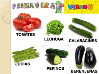 TOMATES
          LECHUGA   CALABACINES




JUDÍAS
          PEPINOS
                    BERENJENAS
 