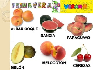 ALBARICOQUE
              SANDÍA
                          PARAGUAYO




              MELOCOTÓN
                            CEREZAS
MELÓN
 