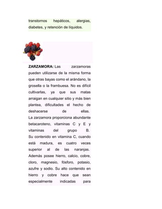 transtornos

hepáticos,

alergias,

diabetes, y retención de líquidos.

ZARZAMORA: Las

zarzamoras

pueden utilizarse de la misma forma
que otras bayas como el arándano, la
grosella o la frambuesa. No es difícil
cultivarlas,

ya

que

sus

matas

arraigan en cualquier sitio y más bien
plantea, dificultades el hecho de
deshacerse

de

ellas.

La zarzamora proporciona abundante
betacaroteno, vitaminas C y E y
vitaminas

del

grupo

B.

Su contenido en vitamina C, cuando
está

madura,

superior

al

es
de

cuatro
las

veces

naranjas.

Además posee hierro, calcio, cobre,
cloro, magnesio, fósforo, potasio,
azufre y sodio. Su alto contenido en
hierro

y

cobre

especialmente

hace

que

indicadas

sean
para

 
