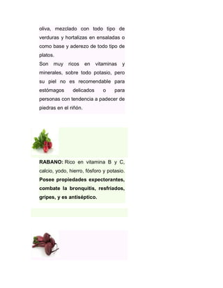 oliva, mezclado con todo tipo de
verduras y hortalizas en ensaladas o
como base y aderezo de todo tipo de
platos.
Son

muy

ricos

en

vitaminas

y

minerales, sobre todo potasio, pero
su piel no es recomendable para
estómagos

delicados

o

para

personas con tendencia a padecer de
piedras en el riñón.

RABANO: Rico en vitamina B y C,
calcio, yodo, hierro, fósforo y potasio.
Posee propiedades expectorantes,
combate la bronquitis, resfriados,
gripes, y es antiséptico.

 