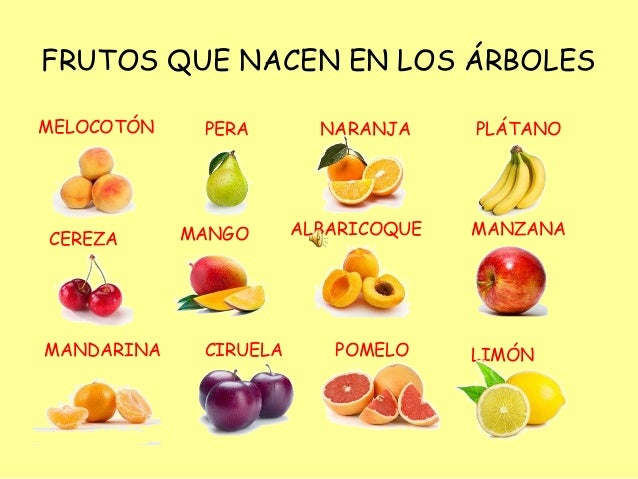 Frutas y verduras