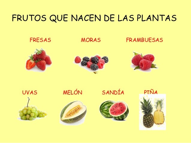 Frutas y verduras