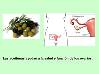 Las aceitunas ayudan a la salud y función de los ovarios.
 