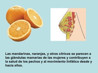 Las mandarinas, naranjas, y otros cítricos se parecen a
las glándulas mamarias de las mujeres y contribuyen a
la salud de los pechos y al movimiento linfático desde y
hacia ellos.
 