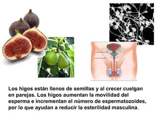 Los higos están llenos de semillas y al crecer cuelgan
en parejas. Los higos aumentan la movilidad del
esperma e incrementan el número de espermatozoides,
por lo que ayudan a reducir la esterilidad masculina.
 