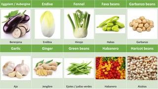 Eggplant / Aubergine Endive Fennel Fava beans Garbanzo beans
Berenjena Endibia Hinojo Habas Garbanzo
Garlic Ginger Green beans Habanero Haricot beans
Ajo Jengibre Ejotes / judías verdes Habanero Alubias
 