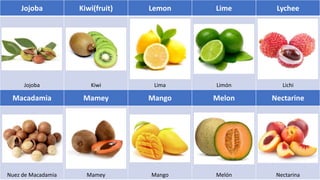 Jojoba Kiwi(fruit) Lemon Lime Lychee
Jojoba Kiwi Lima Limón Lichi
Macadamia Mamey Mango Melon Nectarine
Nuez de Macadamia Mamey Mango Melón Nectarina
 