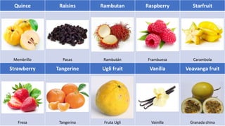 Quince Raisins Rambutan Raspberry Starfruit
Membrillo Pasas Rambután Frambuesa Carambola
Strawberry Tangerine Ugli fruit Vanilla Voavanga fruit
Fresa Tangerina Fruta Ugli Vainilla Granada china
 