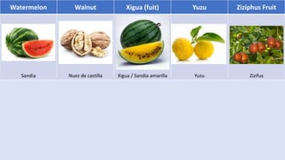 Watermelon Walnut Xigua (fuit) Yuzu Ziziphus Fruit
Sandia Nuez de castilla Xigua / Sandia amarilla Yuzu Zizifus
 