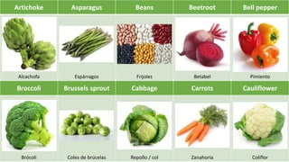 Artichoke Asparagus Beans Beetroot Bell pepper
Alcachofa Espárragos Frijoles Betabel Pimiento
Broccoli Brussels sprout Cabbage Carrots Cauliflower
Brócoli Coles de brúcelas Repollo / col Zanahoria Coliflor
 