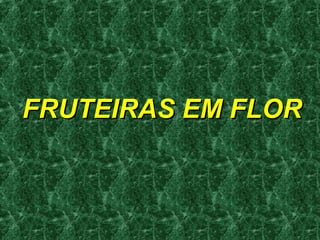 FRUTEIRAS EM FLOR
 