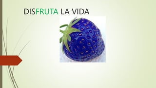 la fruta de barrera|TikTok Search