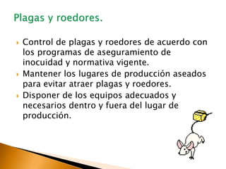  Control de plagas y roedores de acuerdo con
los programas de aseguramiento de
inocuidad y normativa vigente.
Mantener los lugares de producción aseados
para evitar atraer plagas y roedores.
Disponer de los equipos adecuados y
necesarios dentro y fuera del lugar de
producción.