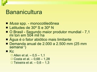 Bananicultura Musa  spp. - monocotiledônea  Latitudes de 30º S e 30º N  O Brasil - Segundo maior produtor mundial - 7,1 mi ton em 504 mil ha Água é o fator abiótico mais limitante Demanda anual de 2.000 a 2.500 mm (25 mm semana -1 ) Kc Allen et al. – 0,5 – 1,1 Costa et al. – 0,68 – 1,28 Teixeira et al. – 0,6 – 1,3 