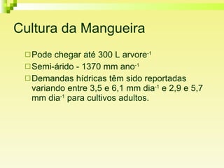 Cultura da Mangueira Pode chegar até 300 L arvore -1 Semi-árido - 1370 mm ano -1 Demandas hídricas têm sido reportadas variando entre 3,5 e 6,1 mm dia -1  e 2,9 e 5,7 mm dia -1  para cultivos adultos.  