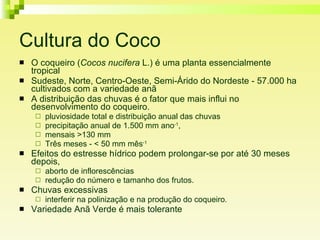 Cultura do Coco O coqueiro ( Cocos nucifera  L.) é uma planta essencialmente tropical  Sudeste, Norte, Centro-Oeste, Semi-Árido do Nordeste - 57.000 ha cultivados com a variedade anã A distribuição das chuvas é o fator que mais influi no desenvolvimento do coqueiro.  pluviosidade total e distribuição anual das chuvas precipitação anual de 1.500 mm ano -1 ,  mensais >130 mm  Três meses - < 50 mm mês -1 Efeitos do estresse hídrico podem prolongar-se por até 30 meses depois,  aborto de inflorescências redução do número e tamanho dos frutos.  Chuvas excessivas interferir na polinização e na produção do coqueiro. Variedade Anã Verde é mais tolerante 