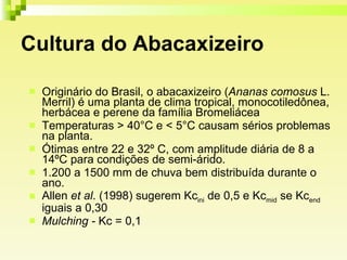 Cultura do Abacaxizeiro Originário do Brasil, o abacaxizeiro ( Ananas comosus  L. Merril) é uma planta de clima tropical, monocotiledônea, herbácea e perene da família Bromeliácea Temperaturas > 40°C e < 5°C causam sérios problemas na planta.  Ótimas entre 22 e 32º C, com amplitude diária de 8 a 14ºC para condições de semi-árido. 1.200 a 1500 mm de chuva bem distribuída durante o ano. Allen  et al . (1998) sugerem Kc ini  de 0,5 e Kc mid  se Kc end  iguais a 0,30 Mulching -  Kc = 0,1 