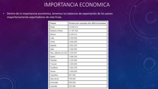 IMPORTANCIA ECONOMICA
• Dentro de la importancia económica, tenemos los balances de exportación de los países
mayoritariamente exportadores de esta fruta.
 
