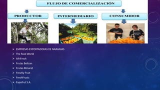  EMPRESAS EXPORTADORAS DE NARANJAS
 The food World
 AfriFresh
 Frutas Beltran
 Frutas Minaret
 Freshly Fruit
 FreshFructs
 Expofrut S.A.
 