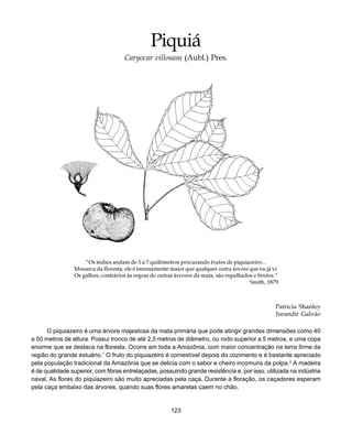 123
Piquiá
Piquiá
Caryocar villosum (Aubl.) Pres.
“Os índios andam de 5 a 7 quilômetros procurando frutos de piquiazeiro...
Monarca da floresta, ele é imensamente maior que qualquer outra árvore que eu já vi.
Os galhos, contrários às regras de outras árvores da mata, são espalhados e brutos.”
Smith, 1879
Patricia Shanley
Jurandir Galvão
O piquiazeiro é uma árvore majestosa da mata primária que pode atingir grandes dimensões como 40
a 50 metros de altura. Possui tronco de até 2,5 metros de diâmetro, ou rodo superior a 5 metros, e uma copa
enorme que se destaca na floresta. Ocorre em toda a Amazônia, com maior concentração na terra firme da
região do grande estuário.1
O fruto do piquiazeiro é comestível depois do cozimento e é bastante apreciado
pela população tradicional da Amazônia que se delicia com o sabor e cheiro incomuns da polpa.2
A madeira
é de qualidade superior, com fibras entrelaçadas, possuindo grande resistência e, por isso, utilizada na indústria
naval. As flores do piquiazeiro são muito apreciadas pela caça. Durante a floração, os caçadores esperam
pela caça embaixo das árvores, quando suas flores amarelas caem no chão.
 