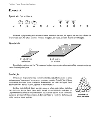 124
Frutíferas e Plantas Úteis na Vida Amazônica
média de 350
frutos por árvore
ECOLOGIA
Época de flor e fruto
Densidade
Densidades maiores, de 2 a 7 árvores por hectare, ocorrem em algumas regiões, possivelmente por
causa do manejo indígena.
Produção
Uma árvore de piquiá na mata normalmente não produz frutos todos os anos.
Muitas árvores “descansam” em um ano e produzem no outro. Entre 20% e 33% dos
piquiazeiros produzem frutos a cada ano. Por exemplo, em 1994, no Capim, Pará,
de uma amostra de 100 árvores, apenas 20 deram frutos.3
Em Boa Vista do Pará, dizem que para saber se o fruto está maduro é só olhar
para o topo da árvore. Se as folhas estão verdes, o fruto ainda não está bom. No
Capim também dizem que enquanto alguns piquiazeiros “jogam” frutos saborosos,
outros só produzem frutos amargos. É bom conhecer o vendedor da feira para
poder comprar piquiá gostoso.
J F M A M J J A S O N D
No Pará, o piquiazeiro produz flores durante a estação da seca, de agosto até outubro, e frutos de
fevereiro até abril. As folhas caem no início da floração e, às vezes, também durante a frutificação.
0,4 a 0,6 árvore
por hectare
2 a 3 árvores
por alqueire
 