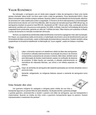 135
Seringueira
VALOR ECONÔMICO
Na colocação, o seringueiro usa um ácido para coagular o látex da seringueira e fazer uma manta
grossa chamada “placa bruta” (no Acre usam muito o leite da gameleira, Ficus dendrocida H.B.K.). Essa
placa é armazenada e vendida a preços variáveis. Quando o látex é comercializado em forma líquida, adiciona-
se amoniaco em cada vasilha para evitar a coagulação. O Governo do Acre está apoiando a comercialização
da borracha bruta natural; com a lei Chico Mendes, além do preço de mercado (que hoje é R$ 0,90 por kg), os
seringueiros recebem do governo mais R$ 0,40, resultando em R$ 1,30 por quilo. Hoje, a produção do Acre
está sendo vendida com uma procura muito grande. Em 2000, no Brasil, mais de 5 mil toneladas de borracha
coagulada foram produzidas, gerando um valor de 7 milhões de reais.4
Mas mesmo com subsídios no Brasil,
o preço da borracha no mercado mundial tem diminuído.
NoAcre, as cooperativas extrativistas estão beneficiando a borracha e agregando mais valor à produção.
Em Xapuri, as cooperativas estão promovendo a implantação da primeira usina de beneficiamento para ser
fornecedora de látex concentrado, usado na fabricação de preservativos masculinos. Existem também várias
cooperativas na Amazônia trabalhando na fabricação do “couro vegetal”, usado em bolsas e mochilas.
Uma benção dos céus
Um guerreiro indígena foi castigado e obrigado pelos chefes de sua tribo a
transportar água em um paneiro feito de cipós silvestres. Os deuses da tribo, querendo proteger
o grande guerreiro, ensinaram-lhe a revestir o paneiro com látex da seringueira, que era transparente e
impermeável. Quando os chefes da tribo viram o guerreiro transportando água no paneiro, ficaram
impressionados e resolveram lhe perdoar.5
USO
Látex: a borracha natural é um elastômero obtido do látex das seringueiras.
A borracha é utilizada extensivamente na produção de pneus e de diversos
componentes e acessórios de veículos e motores. Além disso, também serve
para fabricação de tecidos impermeáveis usados na confecção de dezenas
de produtos. O látex líquido, por exemplo, é utilizado extensivamente na
manufatura de máscaras flexíveis, uso clínico e em efeitos especiais no
cinema.
Caça: as sementes da seringueira são bastante apreciadas por animais silvestres como o
porco-do-mato.
Semente: antigamente, os indígenas Astecas usavam a semente de seringueira como
dinheiro.
 