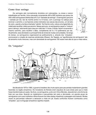 136
Frutíferas e Plantas Úteis na Vida Amazônica
Como tirar seringa
Os seringais são normalmente divididos em colocações, ou áreas a serem
trabalhadas por família. Uma colocação compreende 400 a 600 hectares que possui de
450 a 600 seringueiras distribuídas em 2 a 4 “estradas de seringa”. O seringueiro percorre
1 estrada por dia. Sai de manhã (entre 5 e 6 horas), com a poronga na cabeça para
iluminar o caminho, e vai fazendo cortes inclinados nas cascas das árvores, um do lado
do outro, usando uma faca chamada “cabrita”. No final do corte, coloca uma tigela feita de
metal para recolher o leite que escorre. Nesse percurso, os seringueiros caçam a “mistura”
para o almoço, retornando para casa por volta das 11 horas. À tarde, fazem novamente o
mesmo caminho, para recolher o látex, completando de 6 a 10 quilômetros por dia.
Atualmente, essa atividade é a principal fonte de renda de muitas comunidades. Ao longo
do tempo, os seringueiros organizaram-se politicamente e, através dos “empates”,
promoveram a criação de reservas extrativistas (Resex). No Tapajós, as “agroflorestas de seringueira” são
de tamanho muito menores, mas com densidade de seringueiras 100 vezes mais alta do que a mata nativa.
Na década de 1970 e 1980, o governo brasileiro deu muito apoio para pecuaristas implantarem grandes
fazendas na região amazônica. Os moradores da floresta eram expulsos de suas áreas para que a mata
fosse transformada em pasto. No Acre, os seringueiros, junto com Chico Mendes, descobriram uma forma de
lutar por sua área. Quando os madeireiros e pecuaristas iam para a derrubada, um grande grupo de
seringueiros com suas mulheres e filhos ficavam de mãos dadas impedindo a passagem dos tratores. Muitas
vezes os pecuaristas voltavam e deixavam a mata em pé. Esses confrontos ficaram conhecidos como
“empates”, que no linguajar amazônico significa impedir.
Os “empates”
 